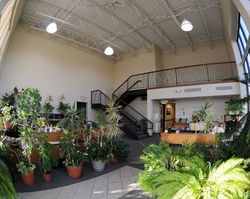 Office Area Looking Upstairs